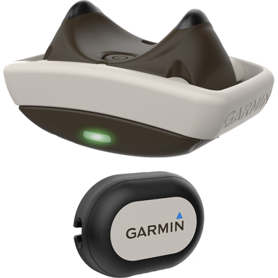 Garmin delta best sale smart dog training